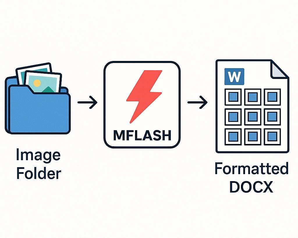 MFLASH Workflow Illustration